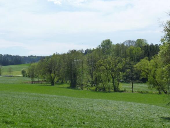 Altbachtal bei Unterpaikertsham