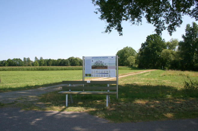 Infotafel Artenreiche Wiesen