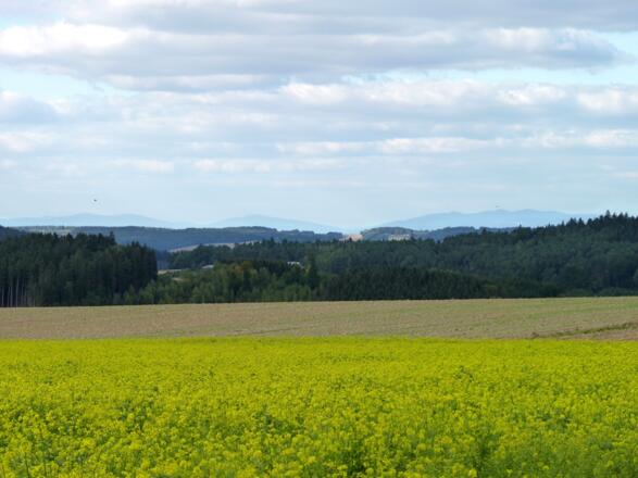 Ausblick bei Gansöd