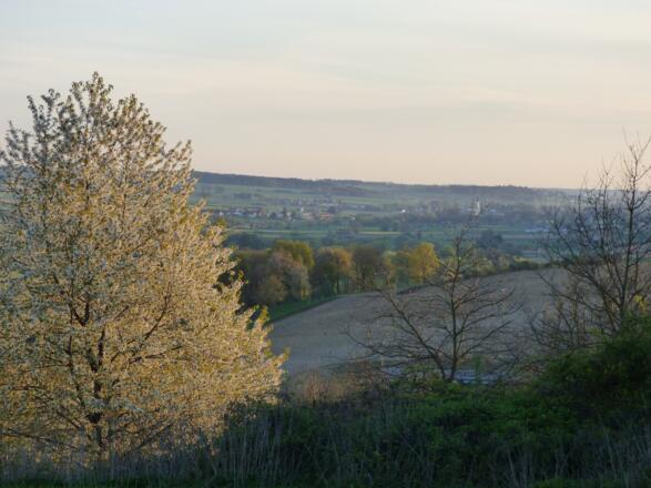 Ausblick ins Kollbachtal