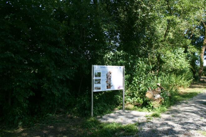 Infotafel Totholz - voller Leben
