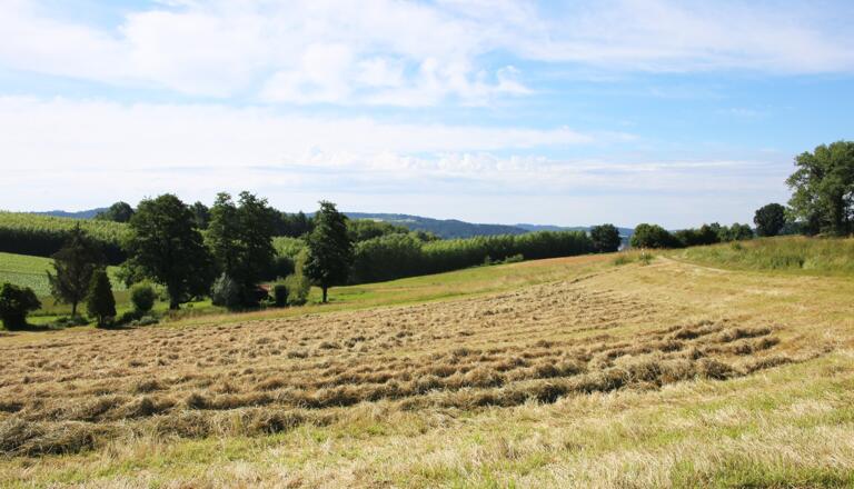 Ausblick auf der Tour