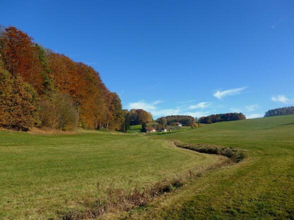 Lieblich-herbstliches Bachtal bei Sonnertsham