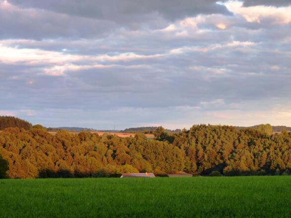 Ausblick bei Aiching