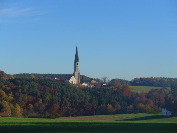 Schildthurn mit Herbstwald