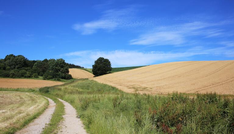 Ausblick auf der Tour