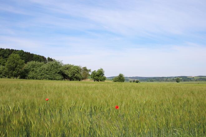 Ausblick auf der Tour