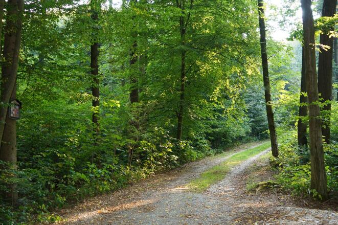 Ausschnitt aus der Tour