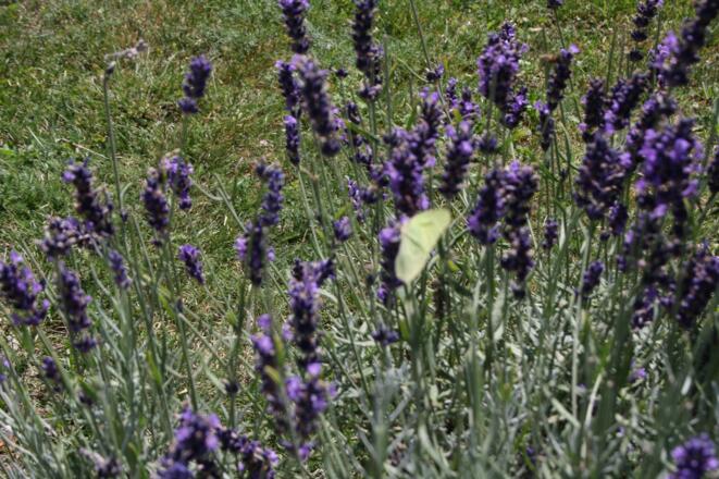 Die Thermenrunde verläuft inmitten der Natur