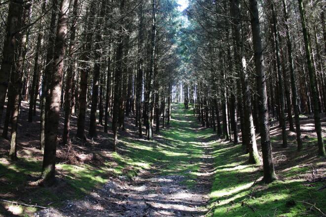 Ausblick auf der Tour