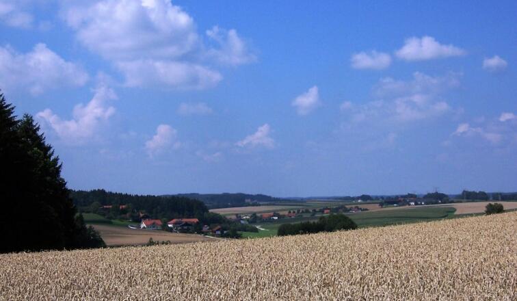 Aussicht bei Unterdietfurt