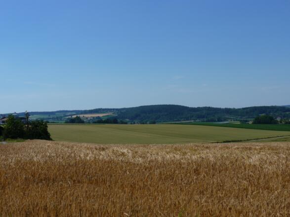 Ausblick ins Kollbachtal bei Untered