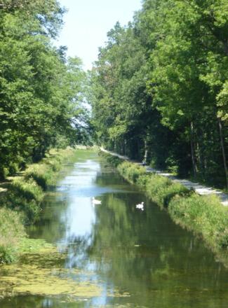 &quot;Alter Kanal&quot;