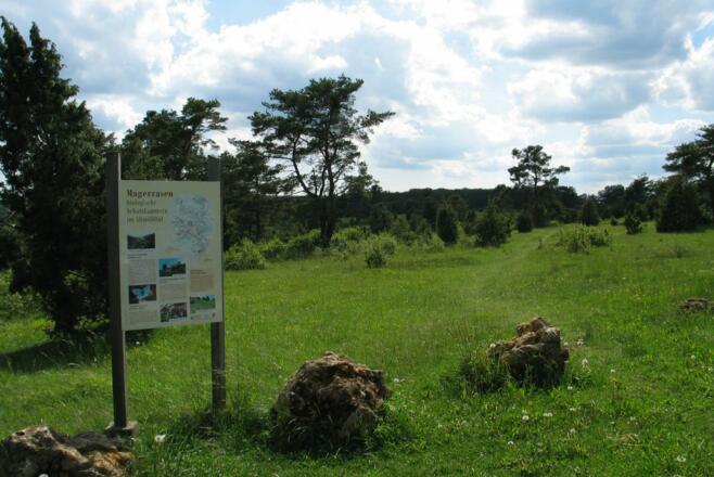 Wanderung auf dem Rosskopfsteig - Magerrasenflächen in Riedenburg