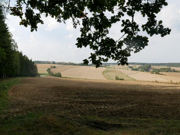Blick zurück nach Münchenreuth