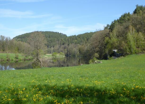 Blick auf den Schwarzen Regen
