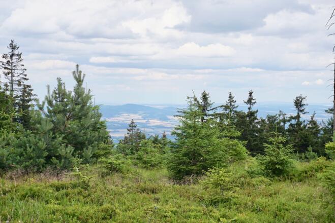 Blick hinüber nach Tschechien