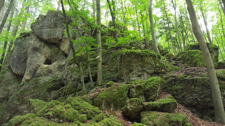 An der Amtsknechtshöhle (Nr. 25)