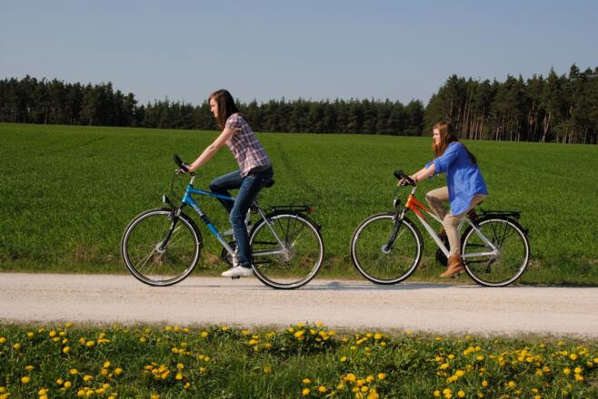 Radeln im Lorenzer Reichswald