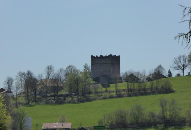 Burgruine Neunussberg