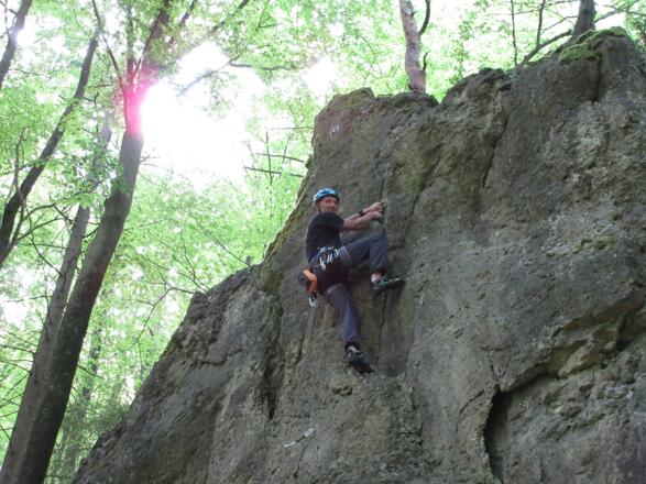 die Sonne kommt nur wenig durch den dichten Blätterwand