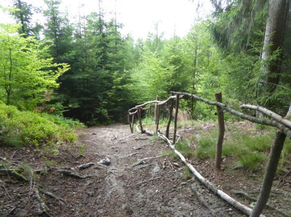 steiler Abstieg vom Staufer Berg