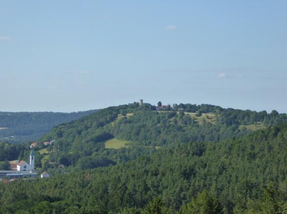 Blick zur Burgruine Wolfstein