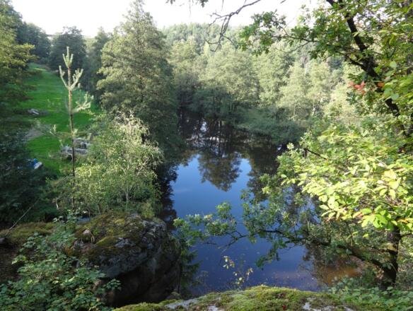 Blick auf die Waldnaab