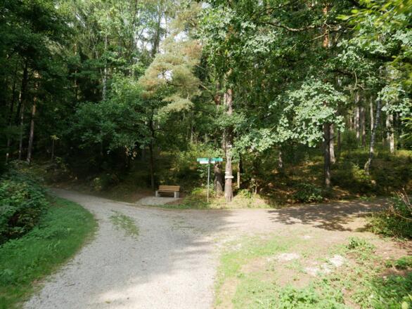 Links in den Wald in Richtung Kappl