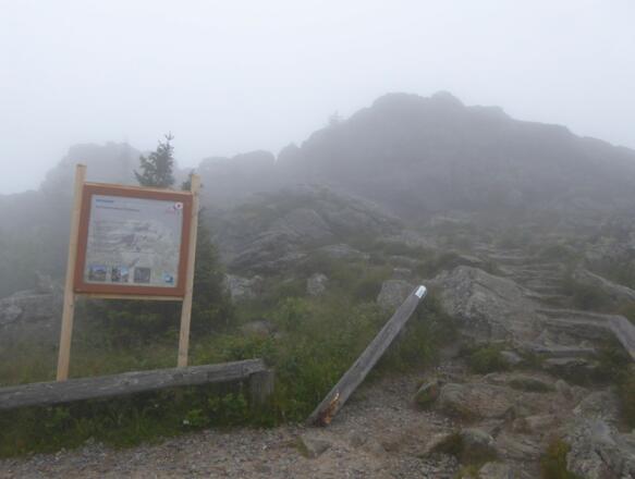 Große Arber - Aussicht im Nebel