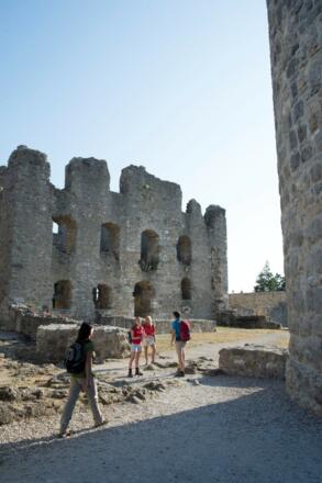 Ruine Wolfsein