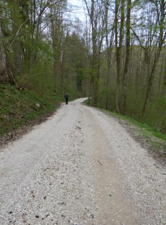 Aufstieg nach Hinterhaslach