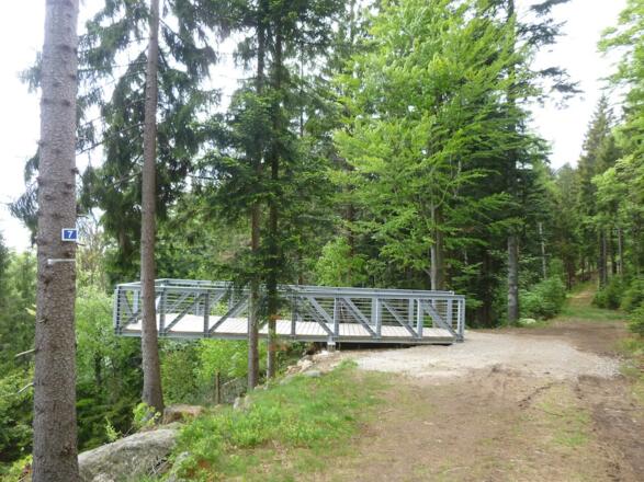 Sky-Walk gegen Ende der Wanderung
