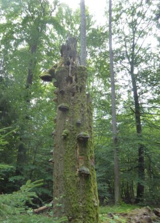 auf der Hohen Straße unterwegs