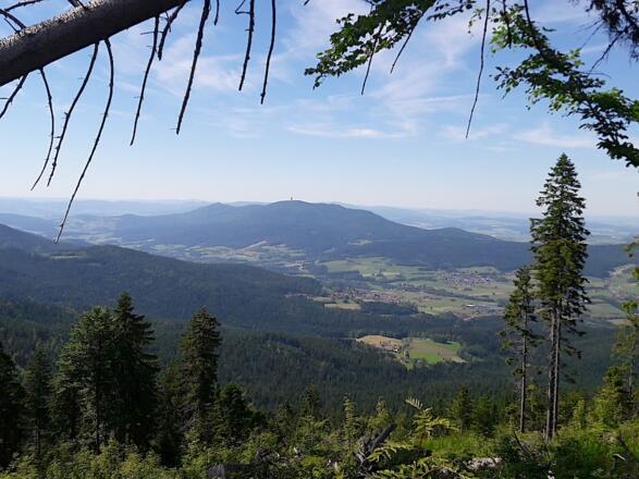 Aussicht zum Hohen Bogen