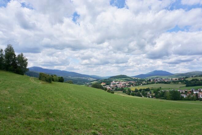 Lam mit Hohem Bogen (rechts)