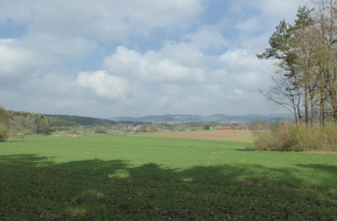 Blick über die Wiesen bei Guntersrieth