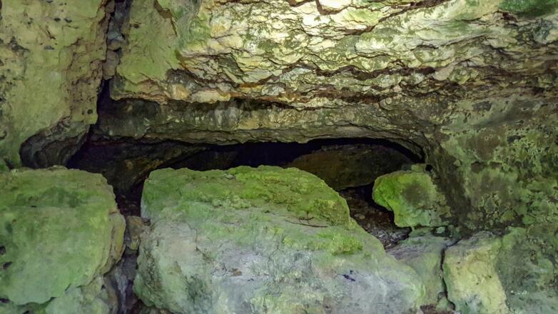 Der Zugang in das Innere des eindrucksvollen Bärenlochs