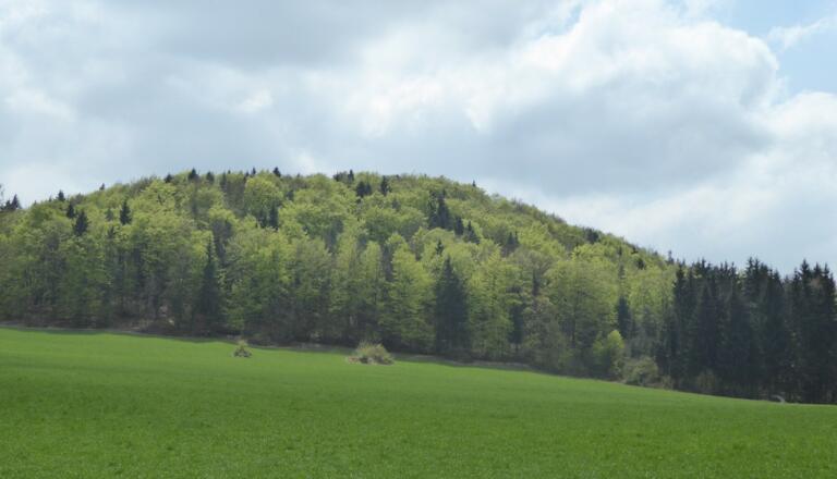 Blick auf den Hochberg vom Sattel aus