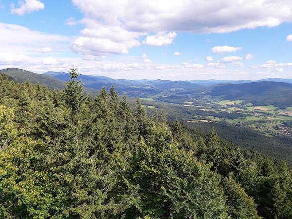 Blick zum Großen Arber mit Zellertal