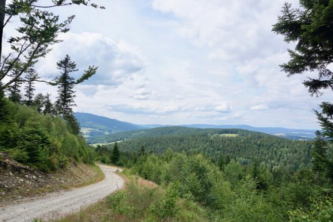 Abfahrt nach Neurittsteig