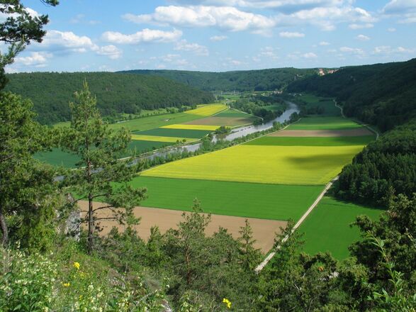Altmühltal-Panoramaweg - Blick vom Rosskopf bei Riedenburg 