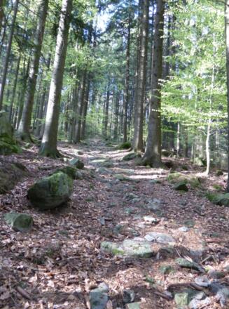 steiniger Aufstieg zum Ecker Sattel