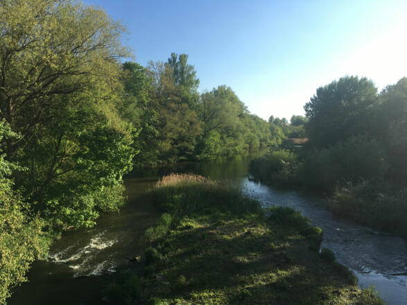 Schleifenroute - Schweinfurt alter Main