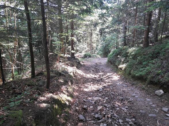 Steilerer steiniger Wegabschnitt