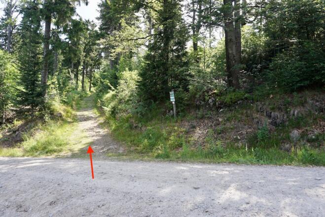 Weg zum Reischflecksattel