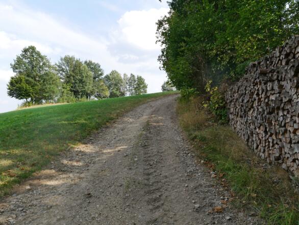 Von Münchenreuth zurück in den Wald