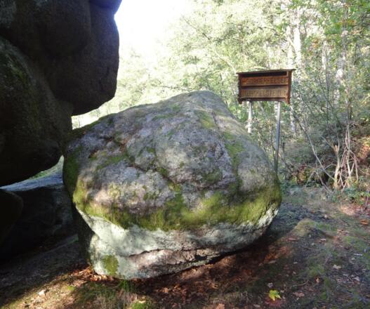 Wackelstein im Graf Schulenburg Park
