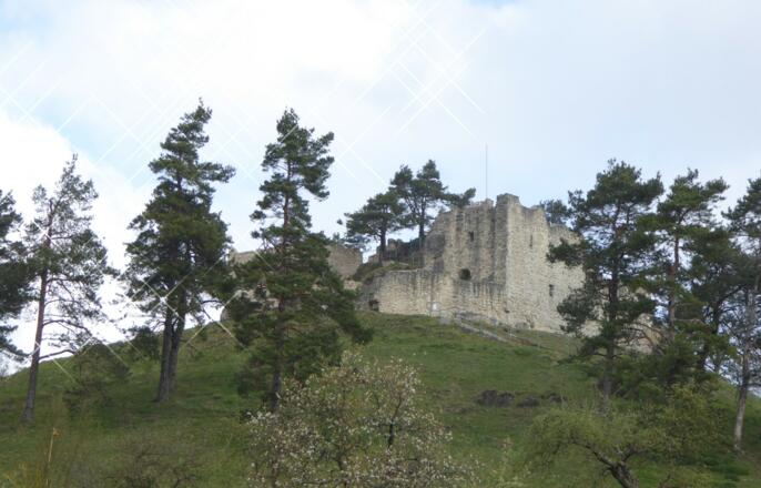 Blick auf die Ruine Lichtenegg