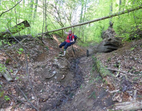 Absteig vom Nonnenberg